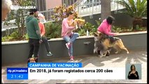 Campanha de Vacinação e Identificação Gratuita de Animais de Estimação no Funchal