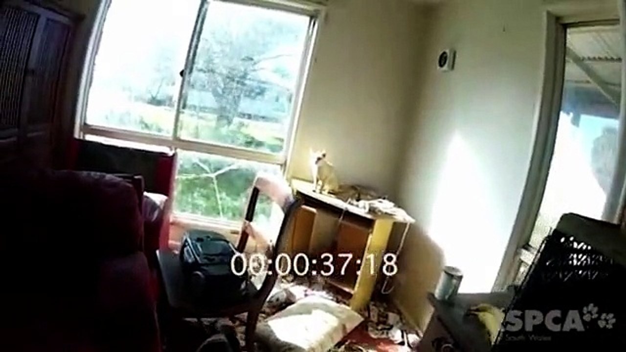 RSPCA release horrific vision of appalling conditions inside home