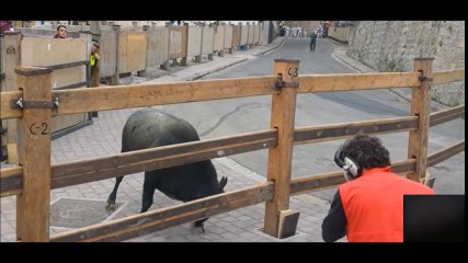 Video completo del Toro Curioso 2015 Sin intención de infringir el copyright © Sin ánimo de lucro,