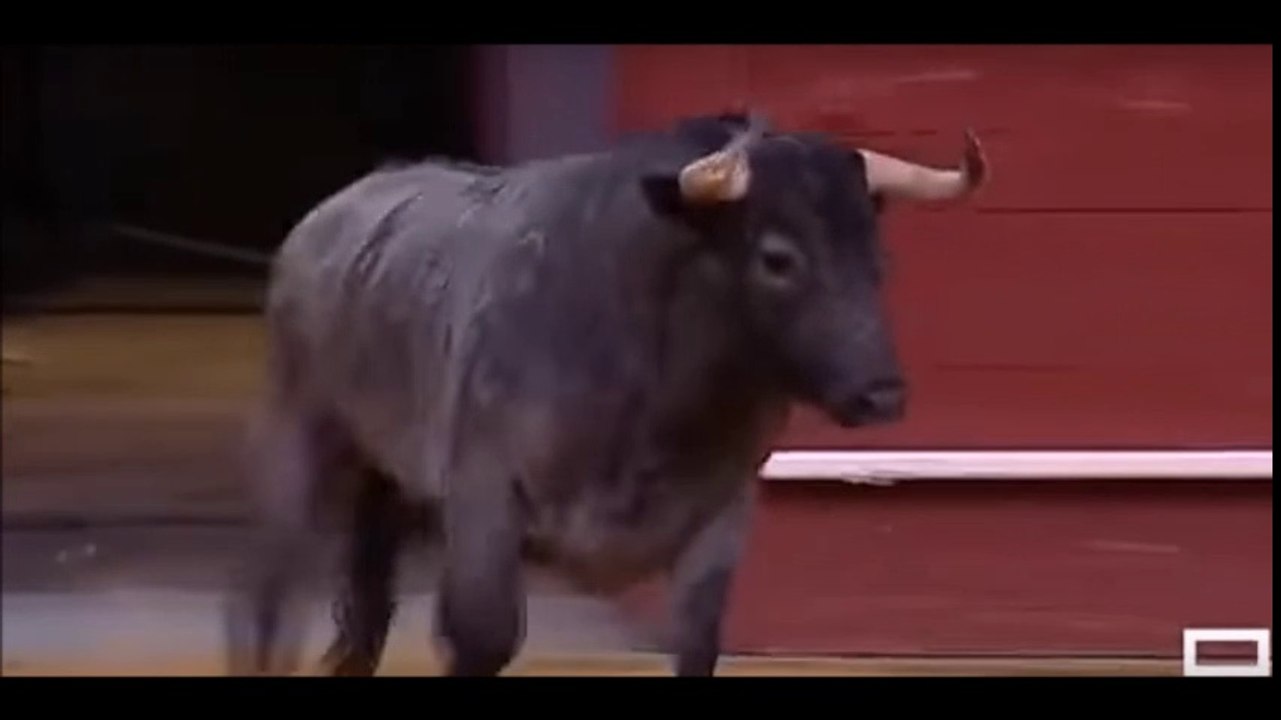 VICTORINO MARTIN 3º TORO PARA EMILIO DE JUSTO EL TORO SE PARA FRENTE A LA FOTO DEL GANADERO.