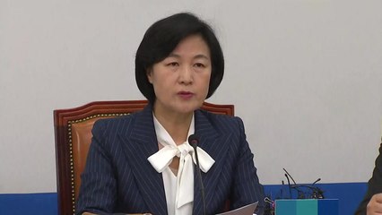 추미애 "문 대통령 개헌안, 촛불 시민의 명령" / YTN