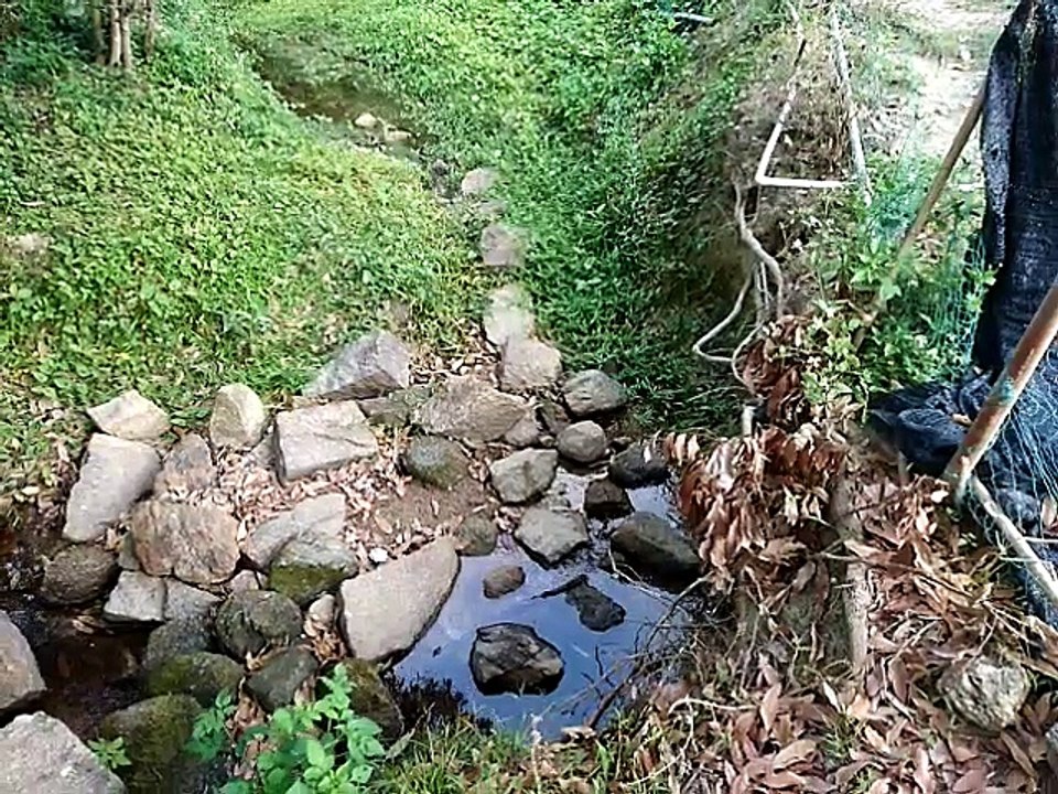 schwimmen für Nichtschwimmer