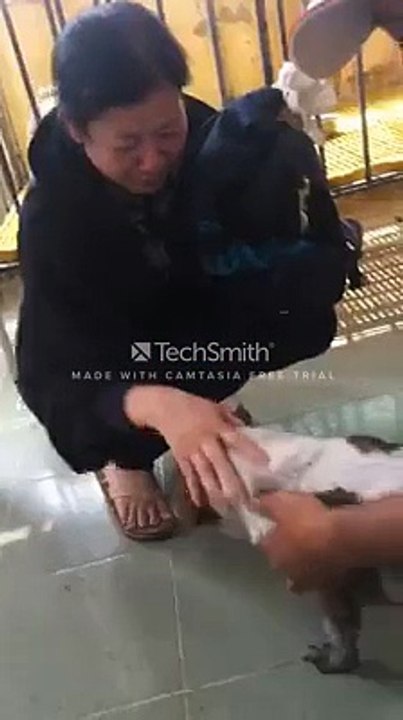 Chú chó vẫn chưa hết hoảng sợ khi gặp lại chủ