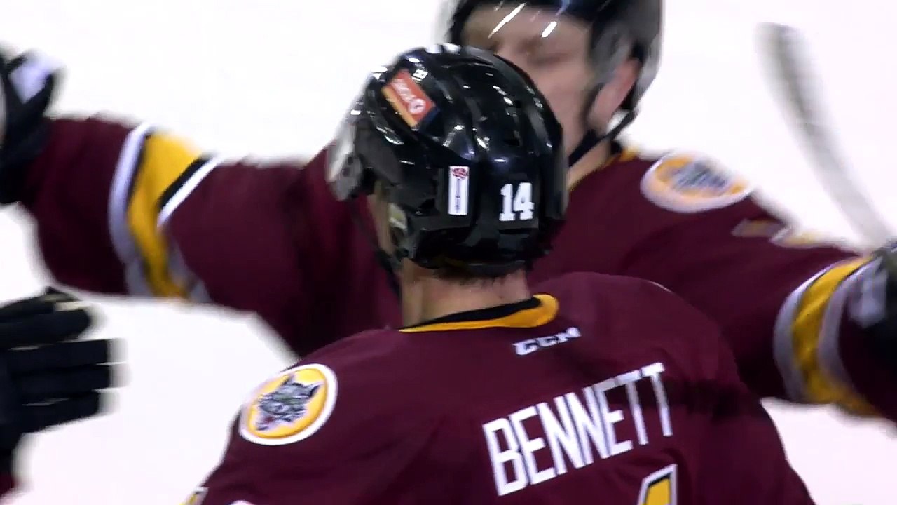 AHL Iowa Wild 1 at Chicago Wolves 3