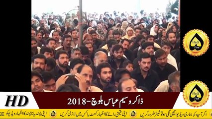 Zakir Waseem Abbas Baloch New HD Majlis 2018 -سفیرِامام حسین جناب مسلم بن عقیل ؑ