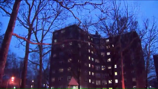 Grandmother`s Ear Bitten Off by Dog While Shielding Children in Playground