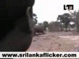 Tsunami disaster in Sri Lanka - NGO SIVA4KIDS.org Reportage