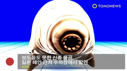 보도듣도 못한 신종 물곰, 일본 해안 근처 주차장에서 발견