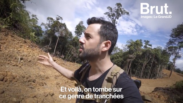 Déforestation à Bornéo : le grand JD raconte