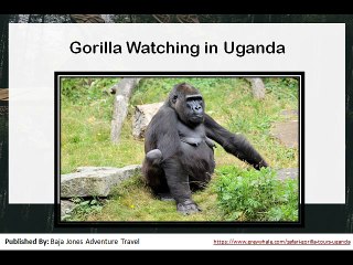 Best Wildlife Adventure Tour in Africa at Budget