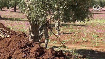 Afrin'de patlayıcıyı 'Leylak' buldu 'METİ' imha etti