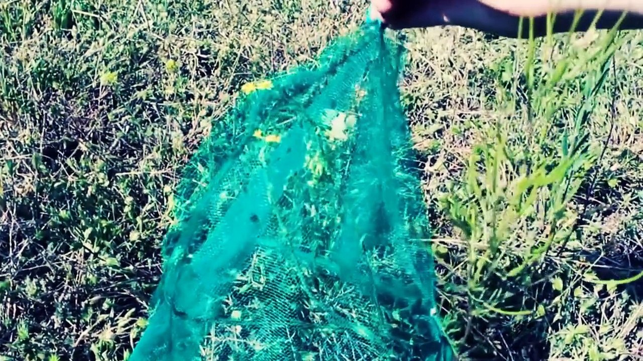 Что делать летом когда скучно Лайфхаки Идеи на лето 2016