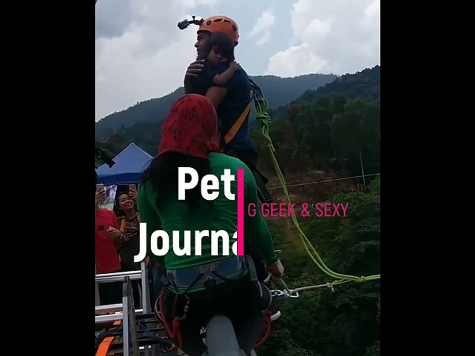 saut