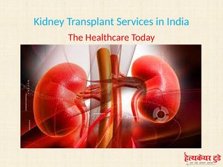 Kidney Transplant Services in India