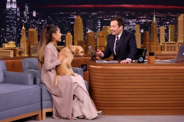 Découvrez les chiens de vos stars préférées