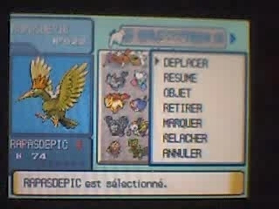 Mes Pokémons Shineys