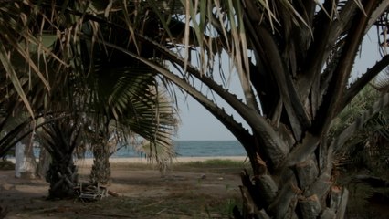 Seinabo Sey - Remember