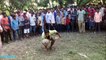 AMAZING ONE WEIGHTLIFTING OF 50 KG BY AN AMAZING BOY IN MAHABIRI AKHADA NICE ONE SHOCKED PEOPLE