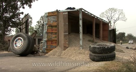 This truck journey in India did not end well