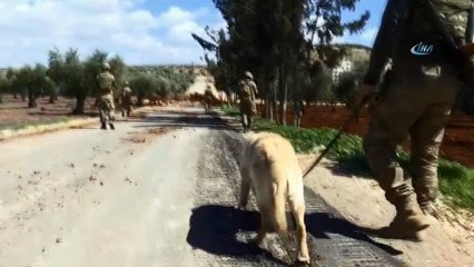 - Leylak buldu METİ imha etti