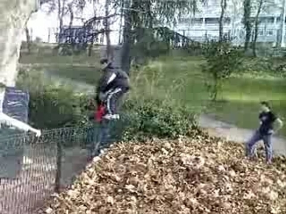 Salto arrière