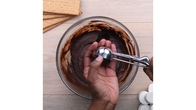 S'mores Pops - Easy DIY Recipes - Fun Food Ideas
