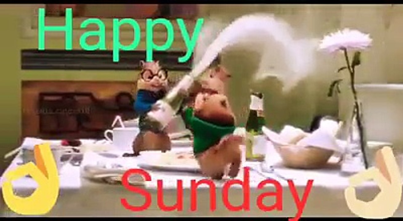 happy sunday