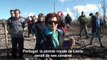 Portugal: la pinède royale de Leiria renaît de ses cendres
