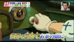 Kaze Tachinu Trailer Bande Annonce VO Miyazaki Hayao