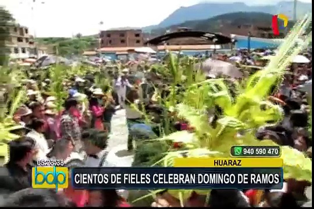Miles de fieles realizaron la tradicional celebración de Domingo de Ramos