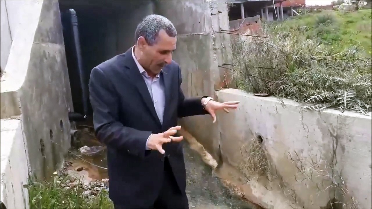 سقوط فيصل التبيني وهو يطارد أفعى