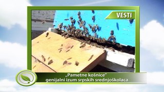 VESTI - „Pametne košnice” - genijalni izum srpskih srednjoškolaca