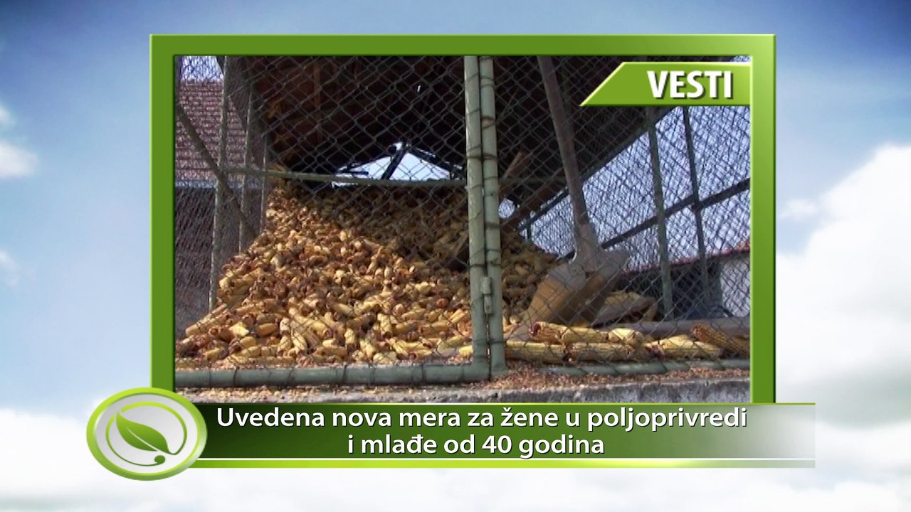 VESTI - Uvedena nova mera za žene u poljoprivredi i mlađe od 40 godina