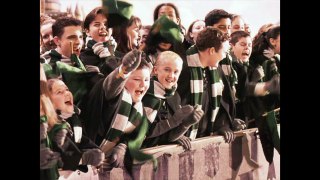 What If Harry Potter Was Sorted Into Slytherin