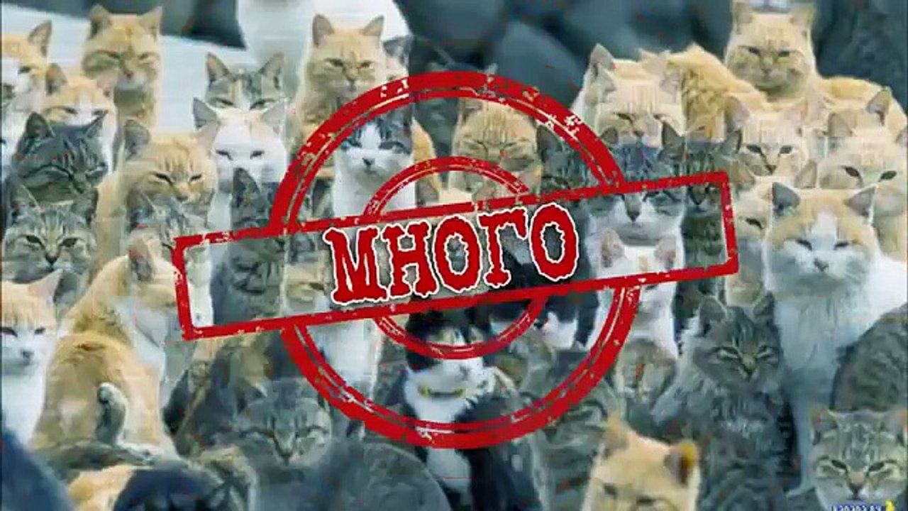 ФОРМУЛА ПОПУЛЯРНОГО ВИДЕО НА YOUTUBE!