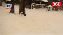 Çmendet moti në Rusi e Ukrainë/ Bie borë ngjyrë portokalli, banorët të frikësuar (360video)