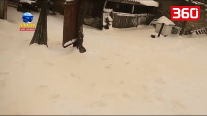 Çmendet moti në Rusi e Ukrainë/ Bie borë ngjyrë portokalli, banorët të frikësuar (360video)