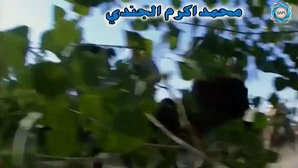 مسلسل الخوالي الحلقة 24 الرابعة والعشرون