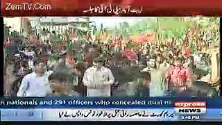 Check Out Crowd In PTI Membership Campaign at Abbottabad