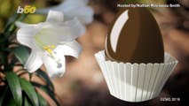 Why Chocolate Eggs Are an Easter Tradition