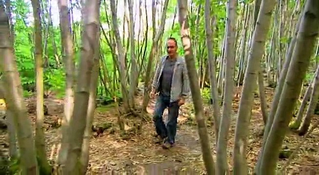 Grand Designs S09 E13 2Nd Revisit Sussex The Woodsmans Cottage Revisited From S3 Ep3 & S5 Ep8