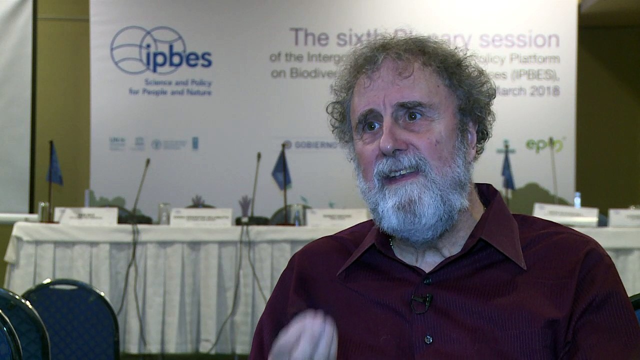 Millones de desplazados y futuro en vilo por deterioro de suelos