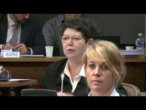 Jeannine TISSERANDOT. Rapport d'activité des services de l'Etat. Session du 26 mars 2018