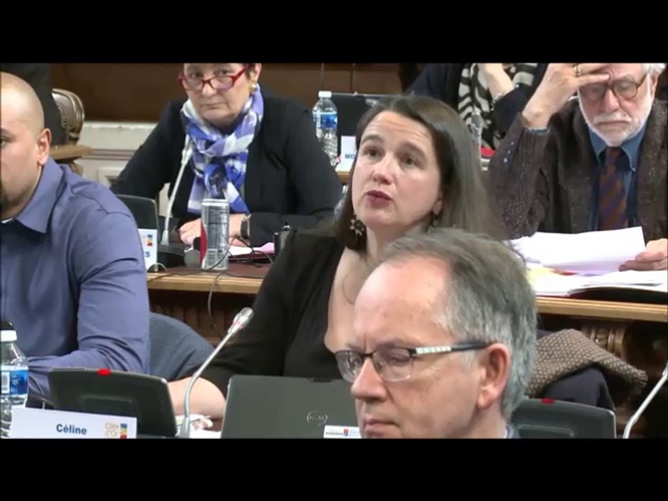 Céline MAGLICA. Rapport d'activité des services de l'Etat. Session du 26 mars 2018