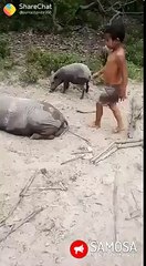 What's app funny video