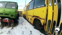 Abandoned buses. Forgotten rusty buses. Abandoned vehicles Ikarus bus