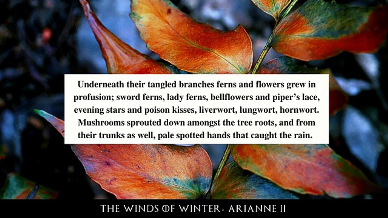 Game of Thrones/ASOIAF Theories | Winter is Coming | The Winds of Winter Arianne II | Part 1