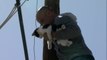 Cat stuck on pole in Phoenix rescued by neighbors