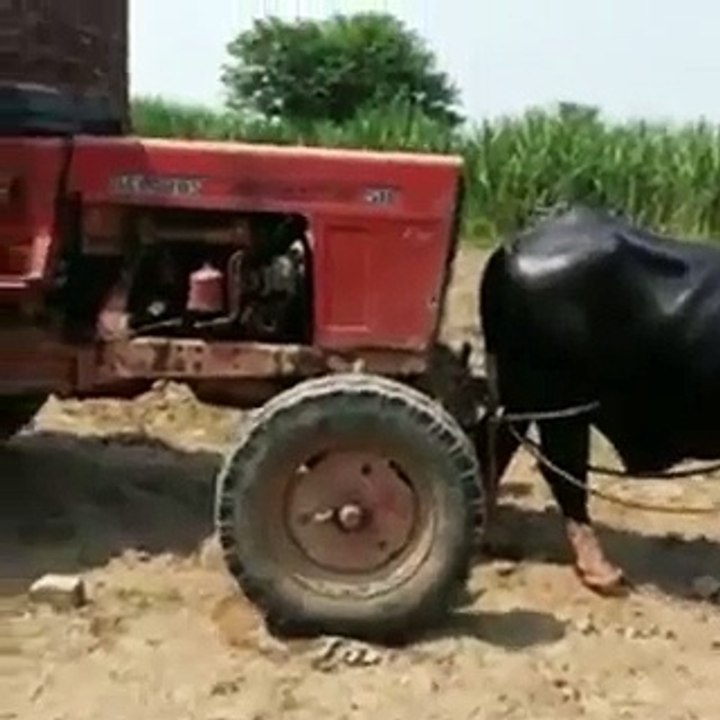 bhanc ny tractor ko kasay kahncha