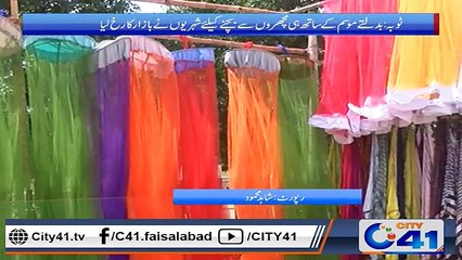 ٹوبہ ٹیک سنگھ میں بدلتے موسم کے ساتھ ہی مچھروں نے شہریوں کو ستانا شروع کردیا ۔ ۔ ۔
